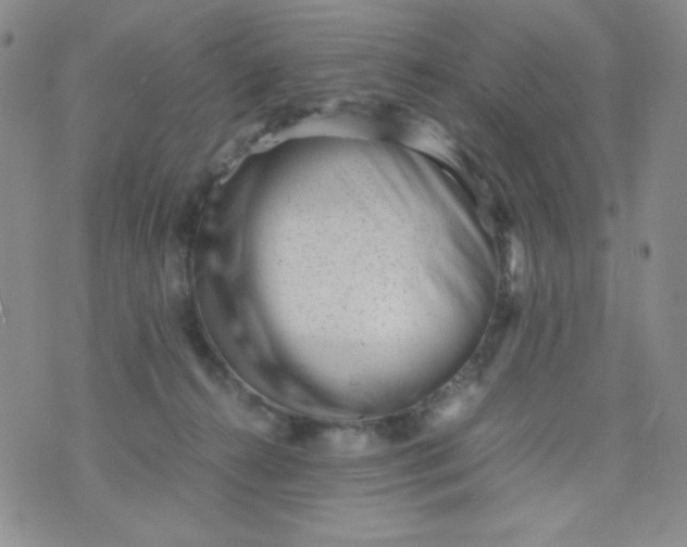 X0000076270272200610122302