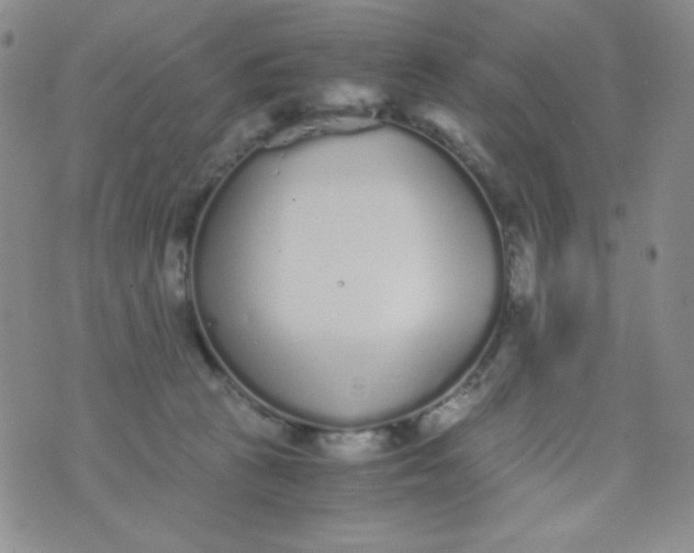 X0000076270273200610122302