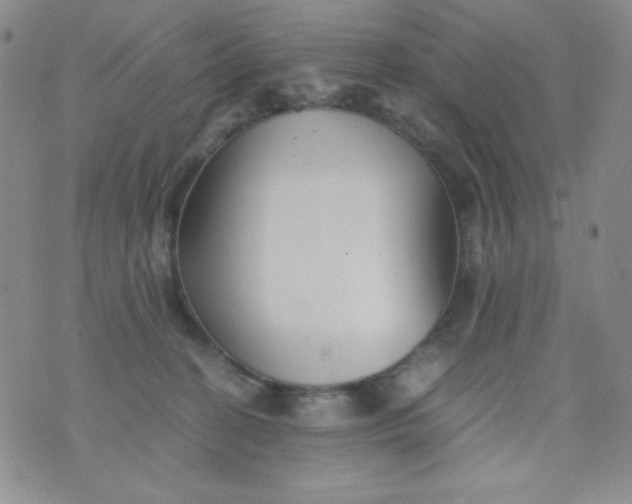 X0000076270274200610122302