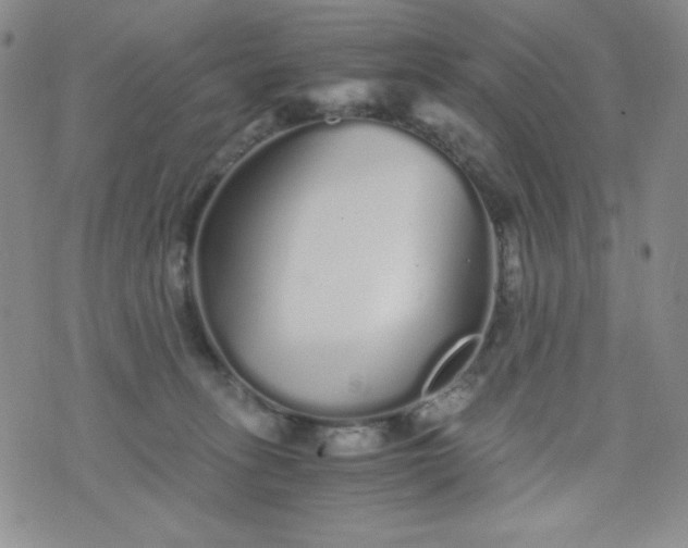 X0000076270275200610122302