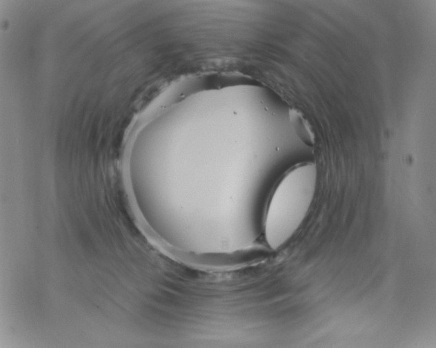 X0000076270276200610122302