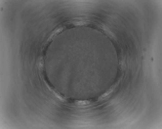 X0000076270277200610122302