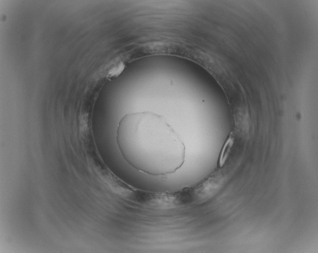 X0000076270278200610122302