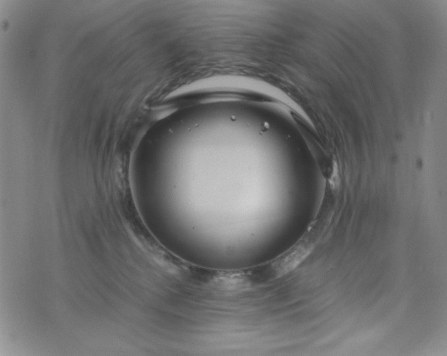 X0000076270280200610122303