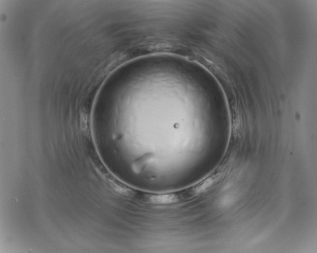 X0000076270281200610122303