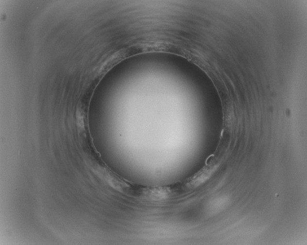 X0000076270282200610122303