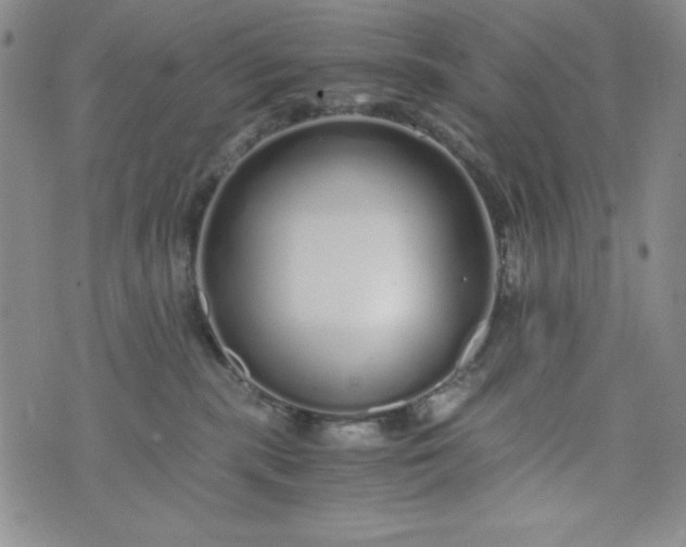 X0000076270283200610122303