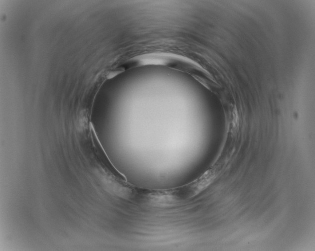 X0000076270284200610122303