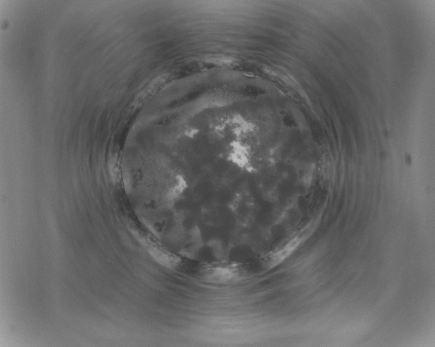 X0000076270285200610122303