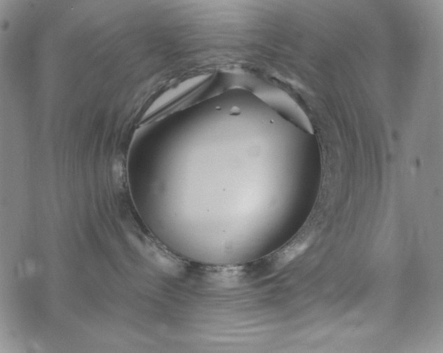 X0000076270288200610122303