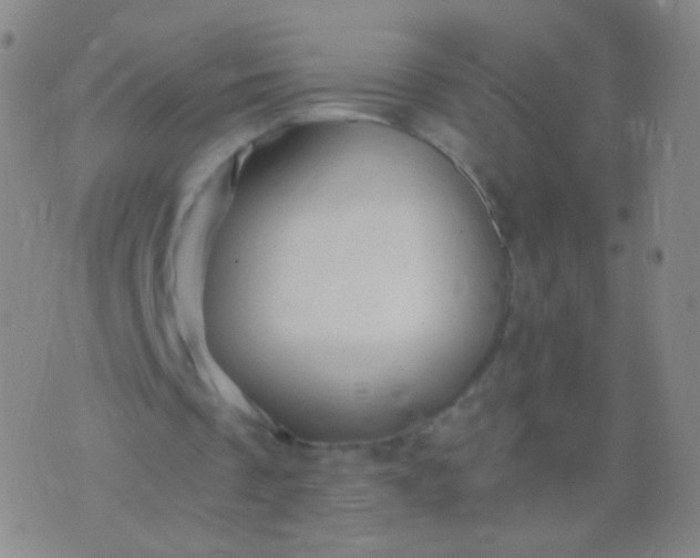 X0000076270289200610122302