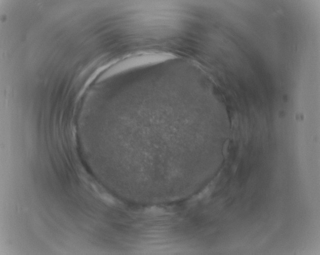 X0000076270290200610122302