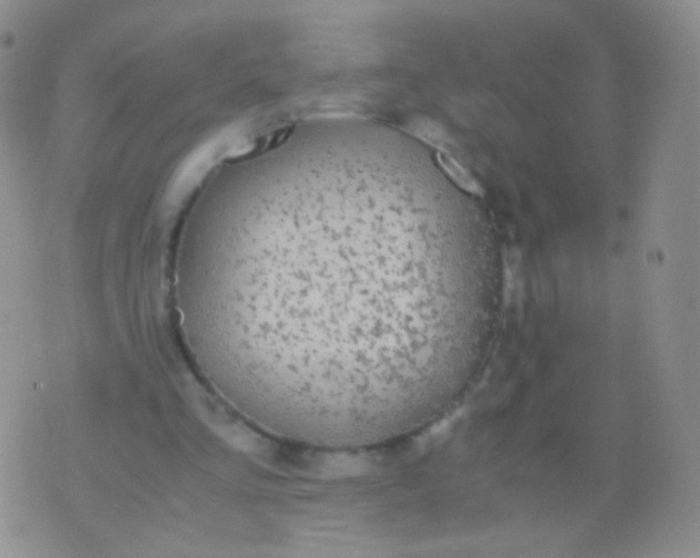 X0000076270293200610122302