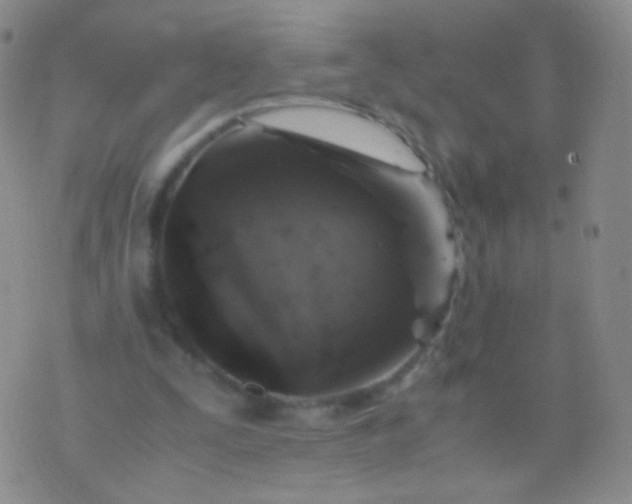 X0000076270295200610122302