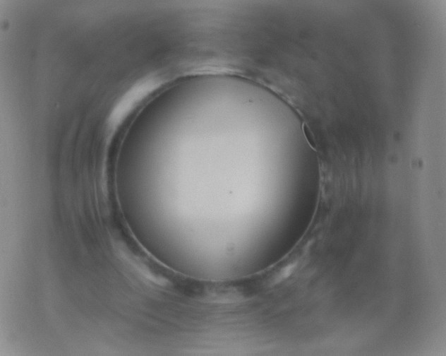 X0000076270296200610122302