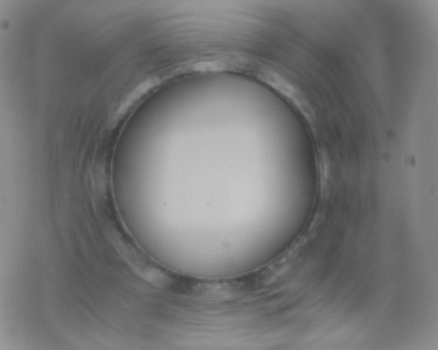 X0000076270297200610122302