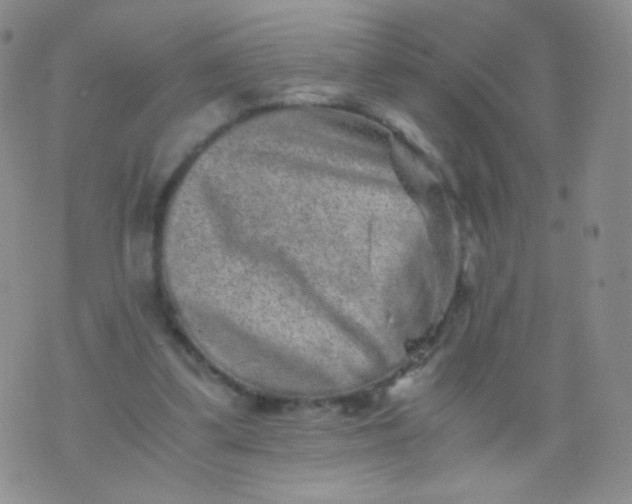 X0000076270299200610122302