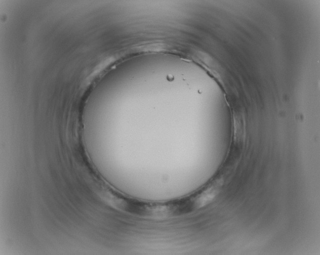 X0000076270301200610122302