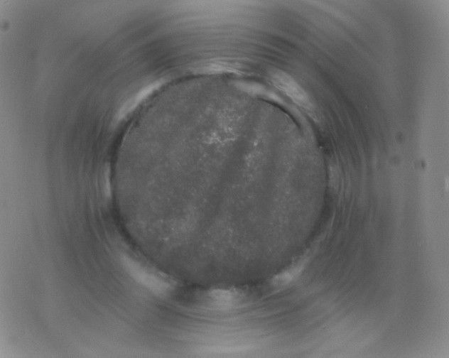 X0000076270302200610122302