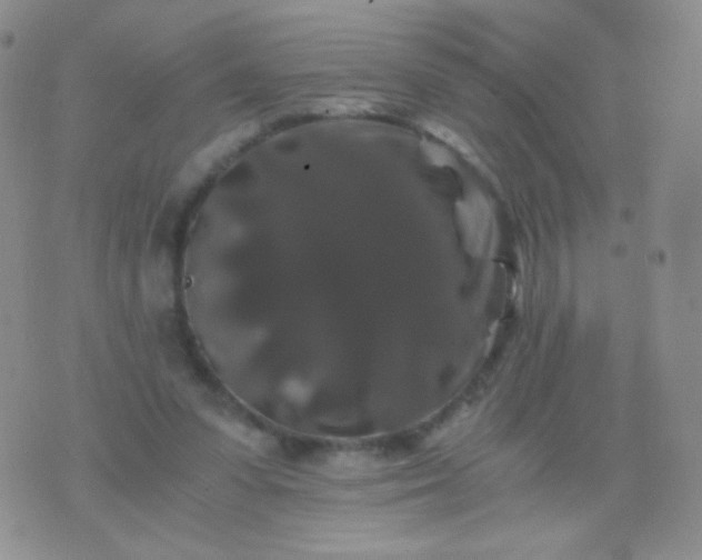 X0000076270303200610122302