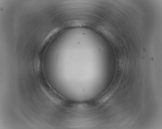 X0000076270304200610122302