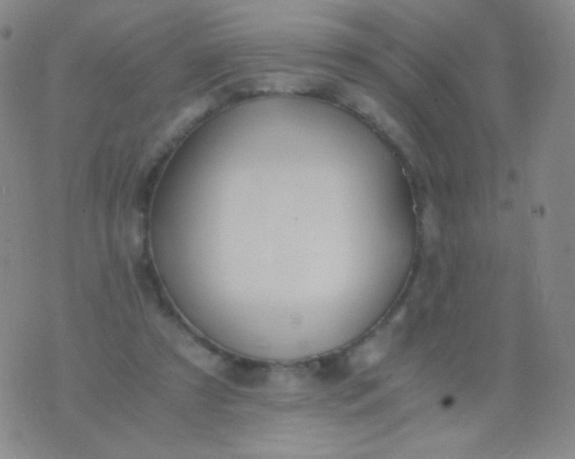 X0000076270305200610122302