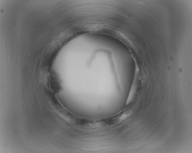 X0000076270307200610122302