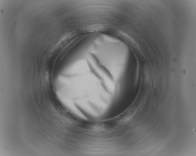 X0000076270308200610122302