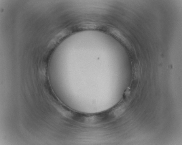 X0000076270309200610122302