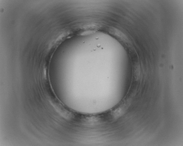 X0000076270310200610122302