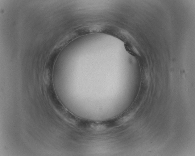 X0000076270311200610122302