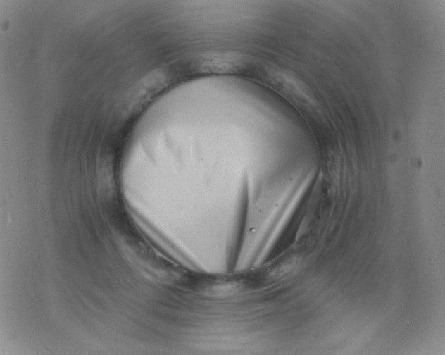 X0000076270312200610122302