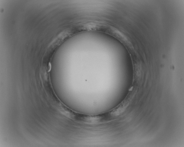 X0000076270313200610122301