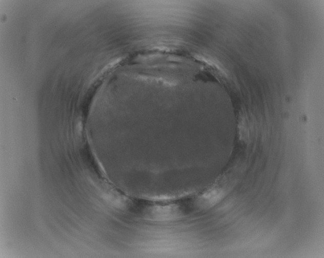 X0000076270314200610122301