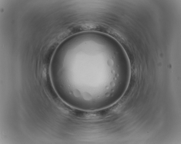 X0000076270315200610122301