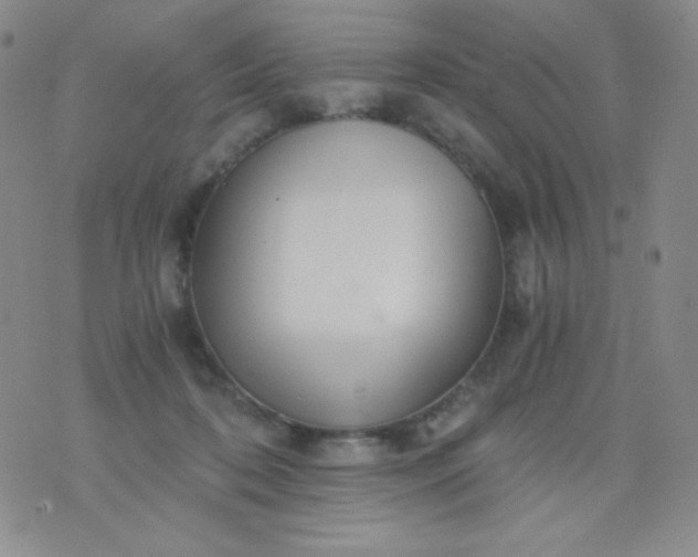 X0000076270316200610122301