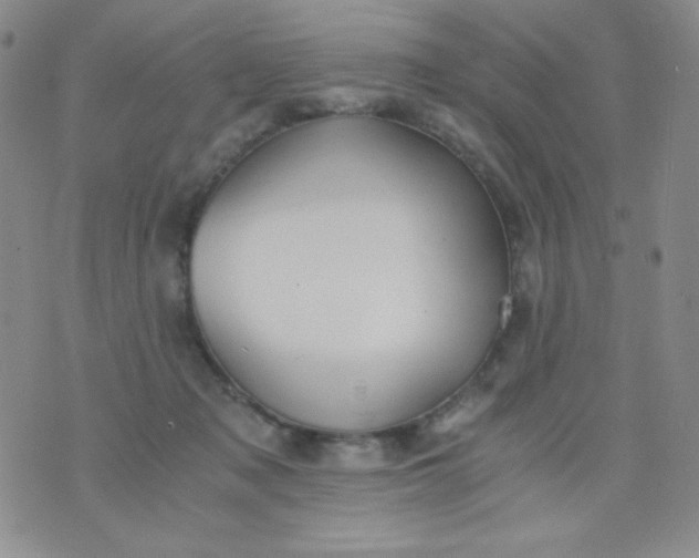 X0000076270317200610122301