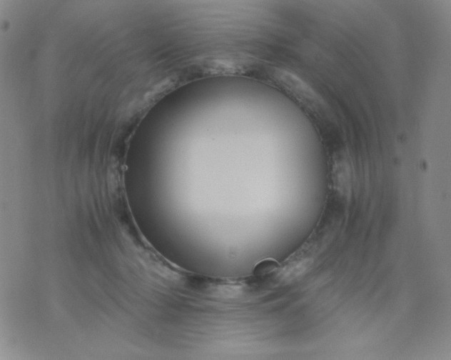 X0000076270318200610122301