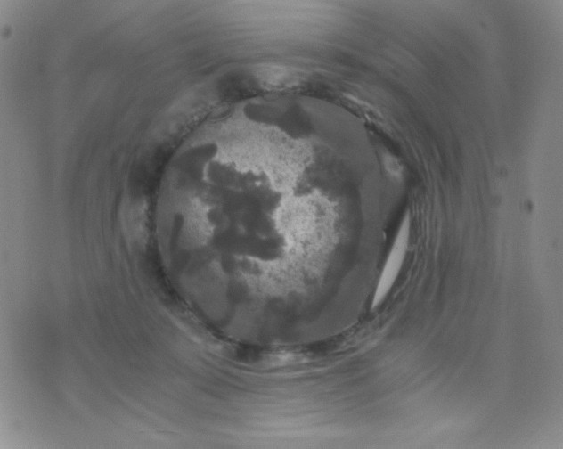 X0000076270319200610122301