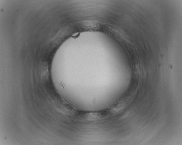 X0000076270320200610122301