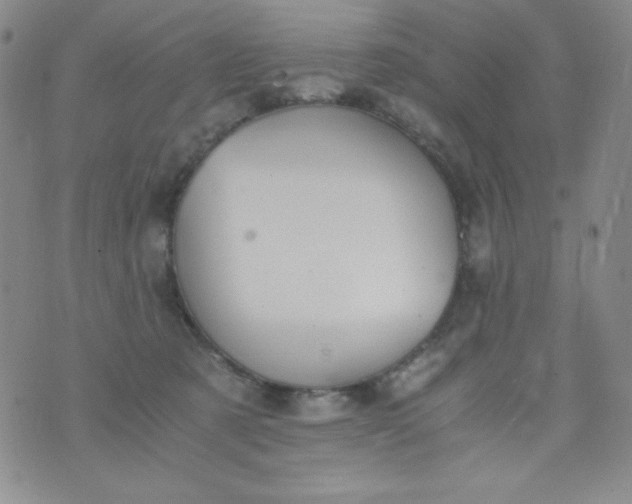 X0000076270321200610122301