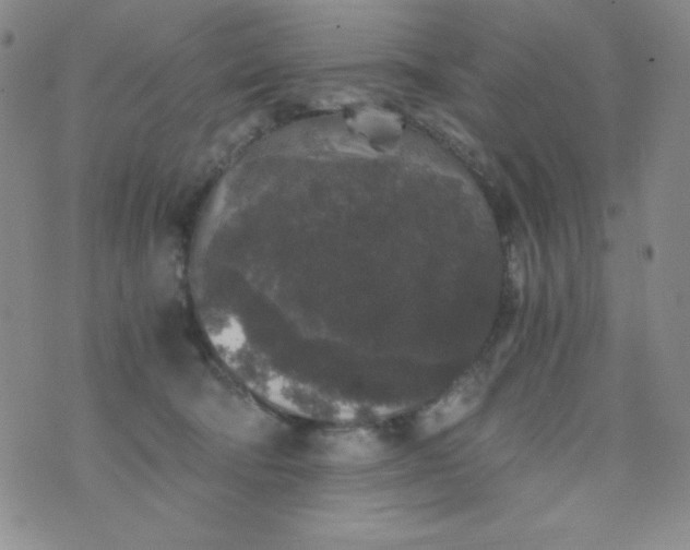 X0000076270322200610122301