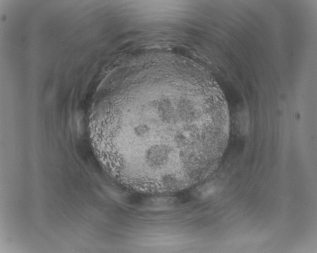 X0000076270323200610122301