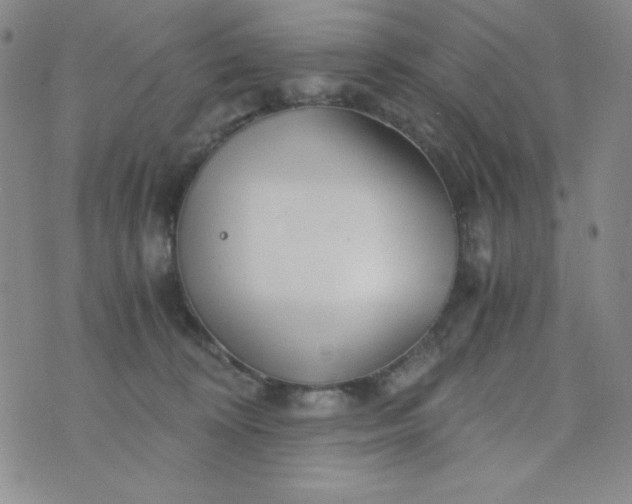 X0000076270324200610122301