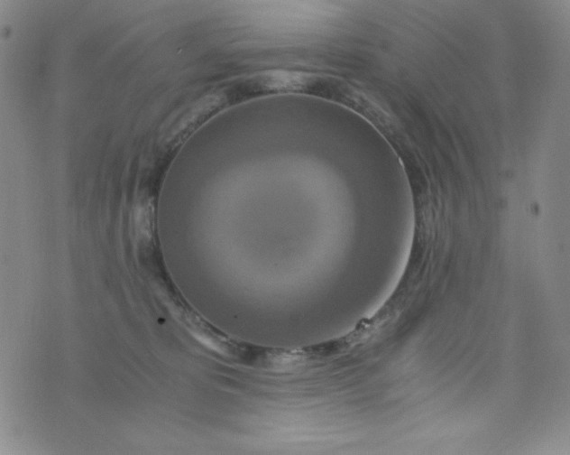 X0000076270325200610122301