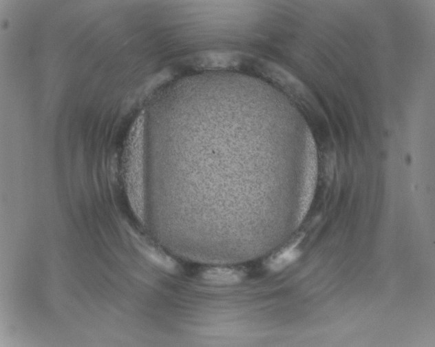 X0000076270326200610122301