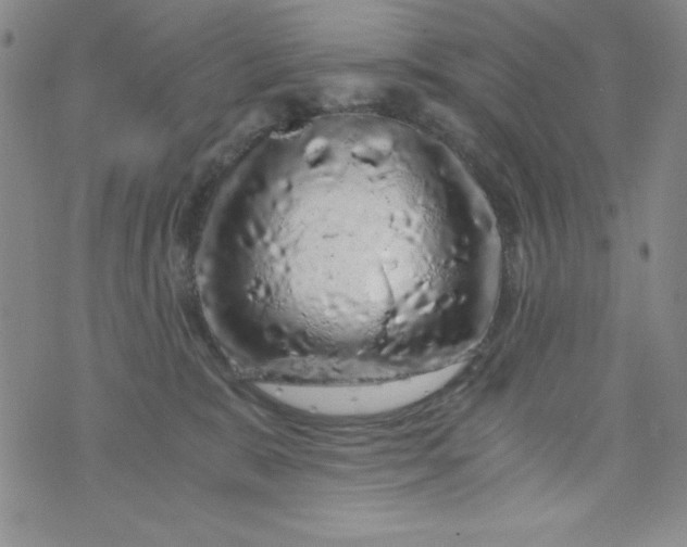 X0000076270327200610122301