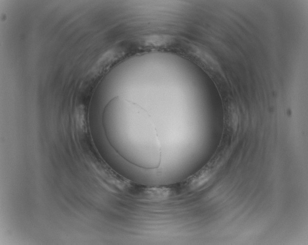 X0000076270328200610122301