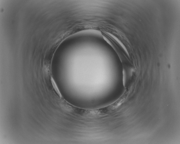 X0000076270329200610122301