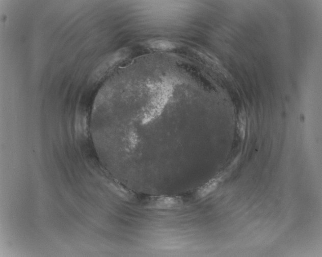 X0000076270330200610122301